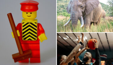 Das ist am Wochenende in Chemnitz los