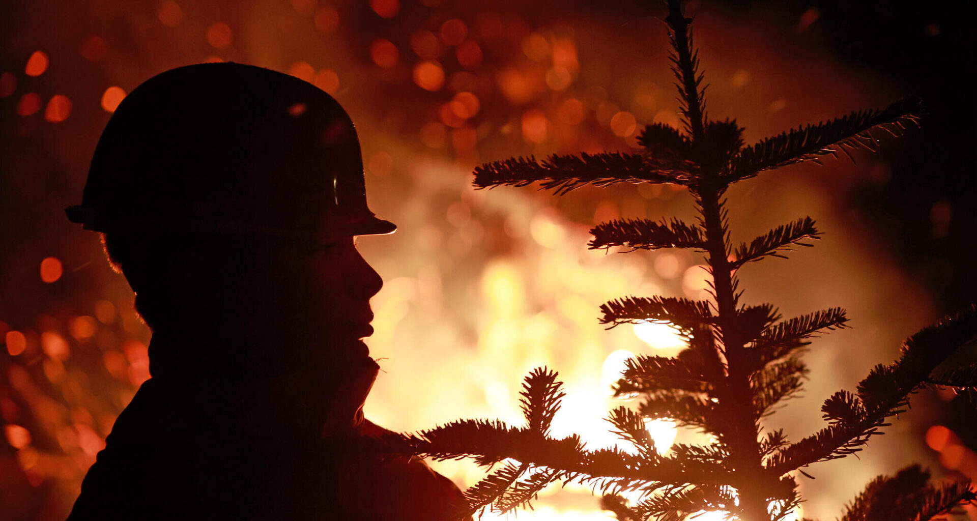 Das ist am Wochenende in und rund um Stollberg los: Knutfeste, Winterdorf und Christbaum-Weitwurf