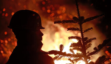 Das ist am Wochenende in und rund um Stollberg los: Knutfeste, Winterdorf und Christbaum-Weitwurf