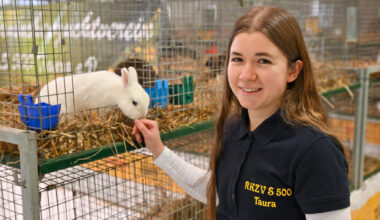 Über 100 Rassekaninchen am Wochenende in Taura zu sehen