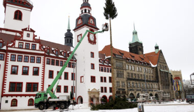 Tschüß Chemnitzer Weihnachtsbaum:Tiere und Handwerk freuen sich über Reste