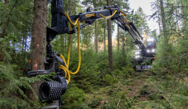 Achtung, Baum fällt! Gesperrte Wege im Chemnitzer Zeisigwald