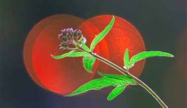 Winterweiß und knallig bunt: Die Bilder der Woche 4