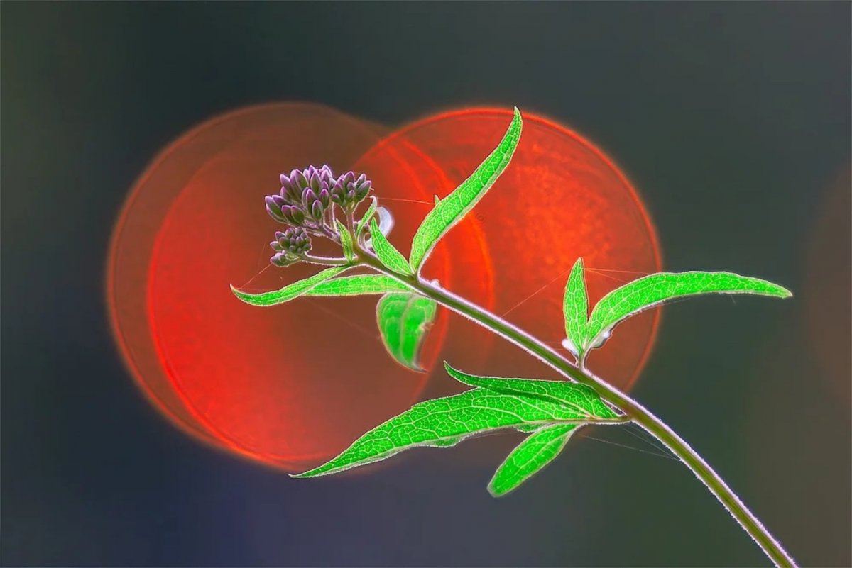 Winterweiß und knallig bunt: Die Bilder der Woche 4