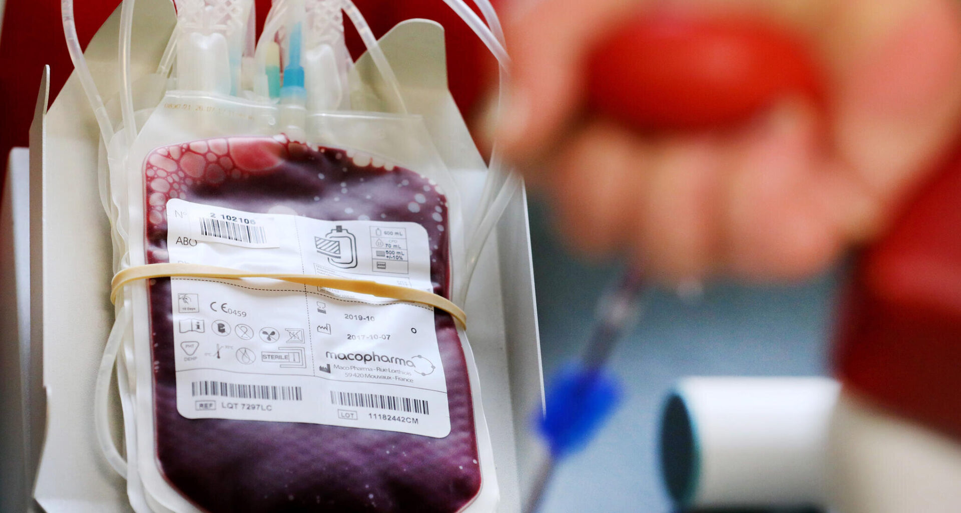 Knappe Blutkonserven in Chemnitz – Aber wer nicht perfekt Deutsch spricht, darf nicht spenden