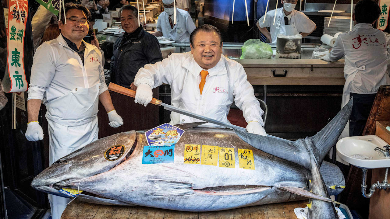 Rekordpreis in Tokio: Thunfisch erzielt Millionenwert | Leben & Wissen
