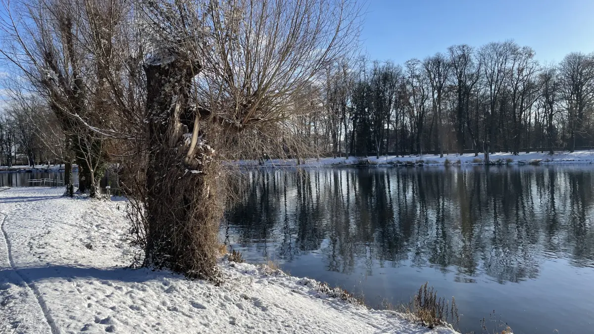 Schnee in Ulm am ersten Januarwochenende 2026