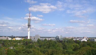 Waldzustandsbericht 2025 - >Zu warm und zu trocken