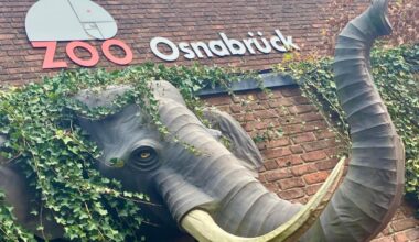 Zoo Osnabrück fällt im Besucherzahlen-Vergleich hinter Münster