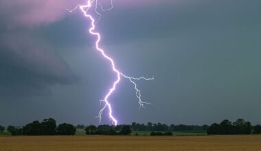 Niedersachsen & Bremen: Blitzflaute in Niedersachsen – So wenige wie lange nicht