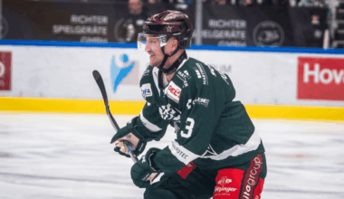 Statement des Starbulls Rosenheim e.V.