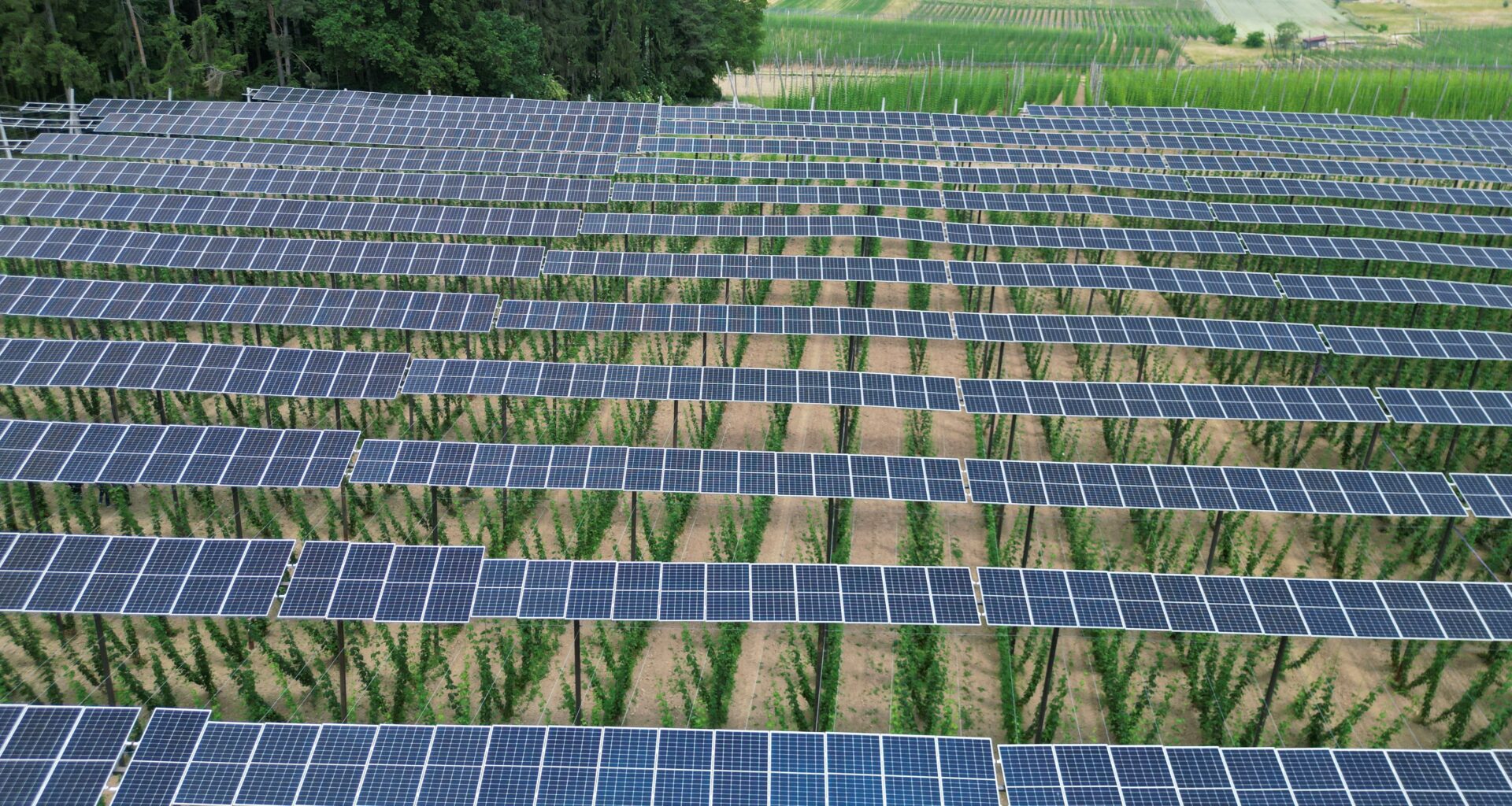 EU plant "Made in Europe"-Vorgaben für öffentliche Beschaffung von grüner Technologie