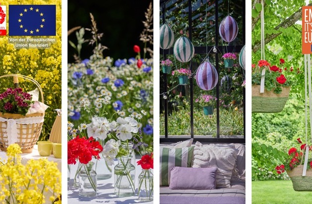 Die neue Pressemappe von Pelargonium for Europe ist da! Entdecken Sie die Bildmotive 2026