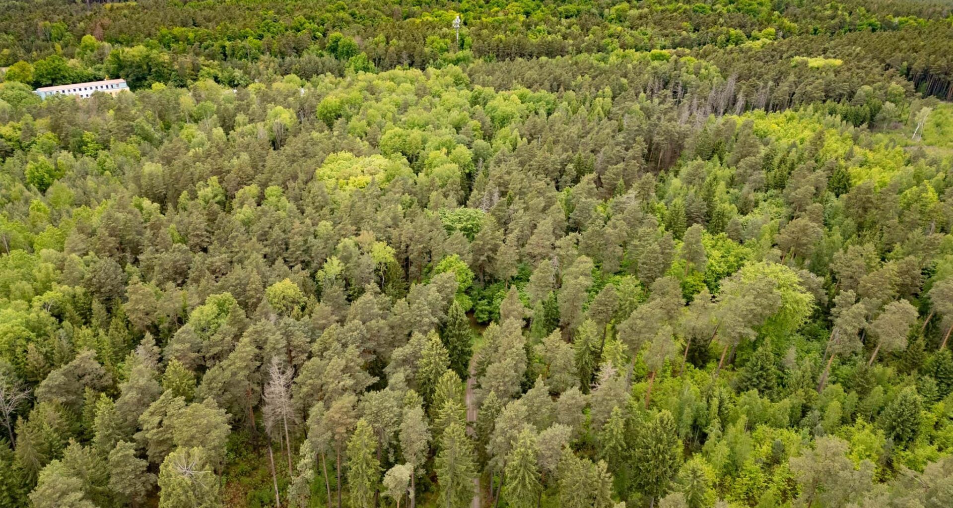 21-Jährige im Wald getötet - Verfahren beginnt