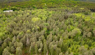 21-Jährige im Wald getötet - Verfahren beginnt