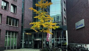 Fortsetzung folgt — kreuzer online