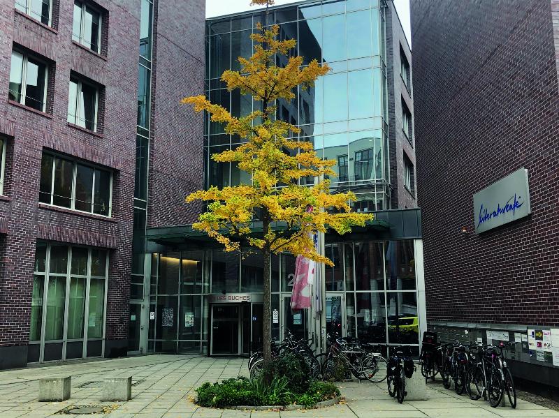 Fortsetzung folgt — kreuzer online