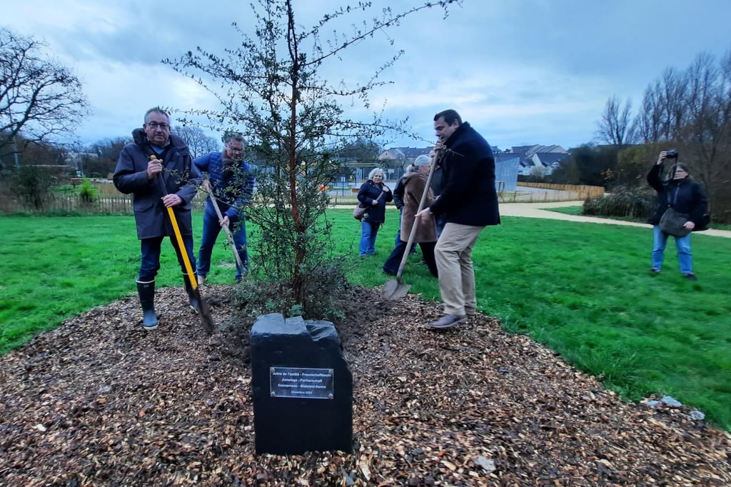 Ein Baum für die deutsch-französische Freundschaft