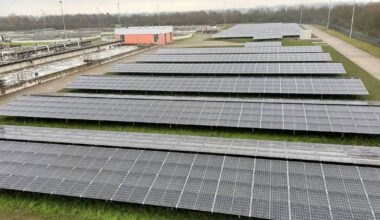 Mannheim: Weiterer Schritt zur Klimaneutralität - Mannheim und Metropolregion Rhein-Neckar - Nachrichten und Aktuelles