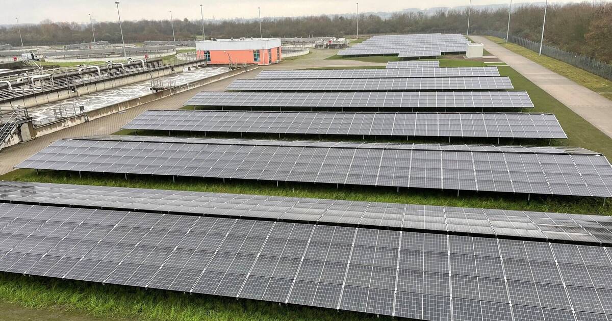 Mannheim: Weiterer Schritt zur Klimaneutralität - Mannheim und Metropolregion Rhein-Neckar - Nachrichten und Aktuelles