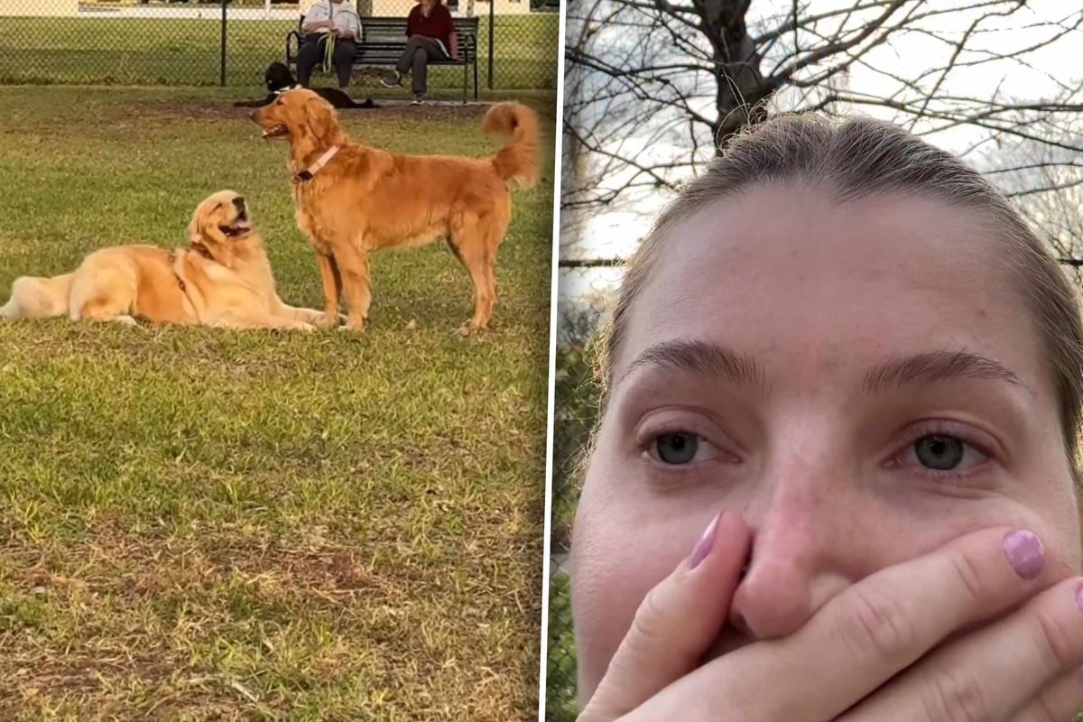 Was dann passiert, entsetzt sein Frauchen