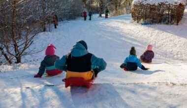 Wann der neue Familienpass für Mannheim kommt