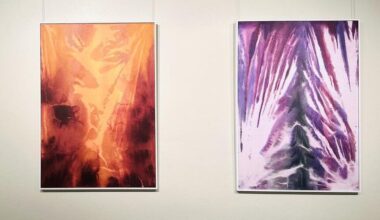 Mannheimer Tulla-Galerie zeigt Vielfalt des zeitgenössischen Ausdrucks