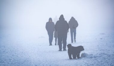Wetterexperte und Bauernregel einig: Deutschland friert bis Ende Februar | News
