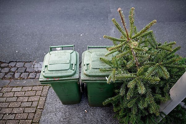In allen Kommunen wird darum gebeten, die abgeschmückten Weihnachtsbäume gut sichtbar an die Straße zu stellen. - © picture alliance / dpa