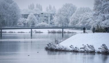 Eisschicht zu dünn: Feuerwehr rettet Hund aus See in Bremen | Niedersachsen
