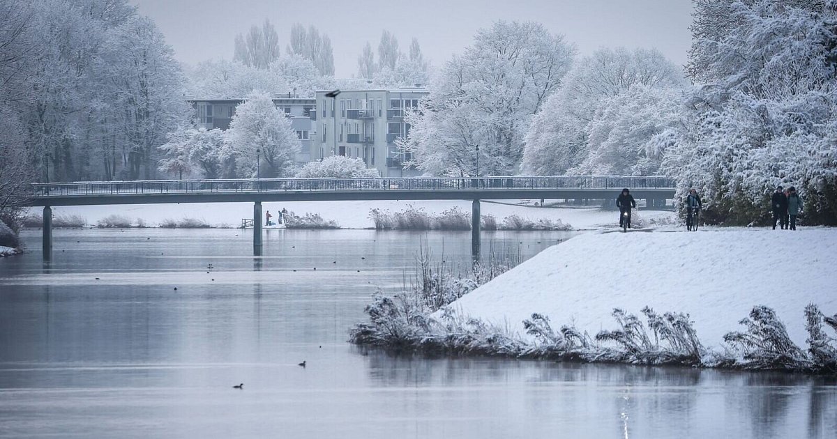 Eisschicht zu dünn: Feuerwehr rettet Hund aus See in Bremen | Niedersachsen