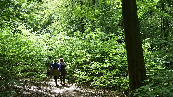 OWL bietet viele Wandermöglichkeiten. - © dpa