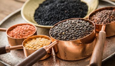 Vom Arme-Leute-Essen zum Superfood: Linsen neu entdecken