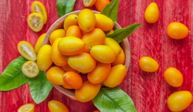 Kumquats: Wie Sie die Zitrusfrucht richtig essen