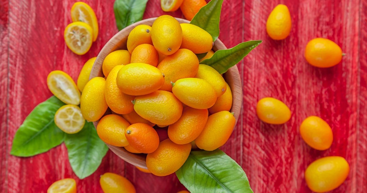 Kumquats: Wie Sie die Zitrusfrucht richtig essen