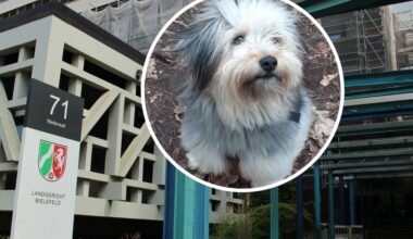 Ein Hund beschäftigt die Gerichte: Wem gehört Trudi?