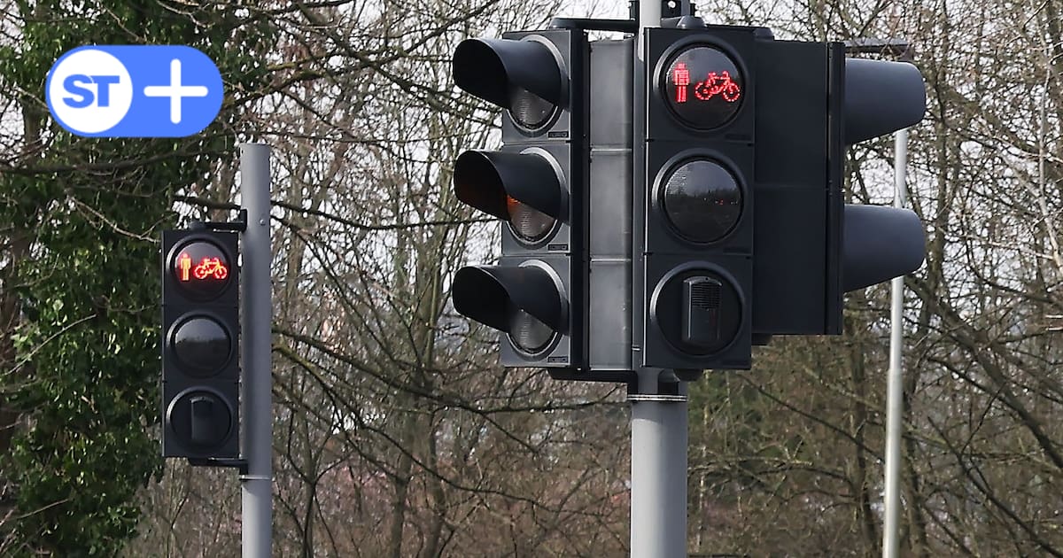 Fast alle nutzen regelmäßig ein Auto – Unzufriedenheit im Radverkehr am größten