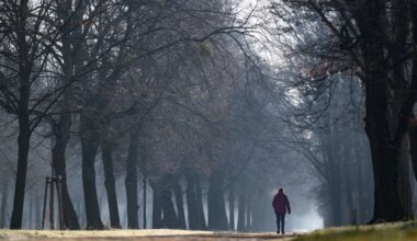 Dresden - Großer Garten mit neuem Skulpturendepot - Kultur