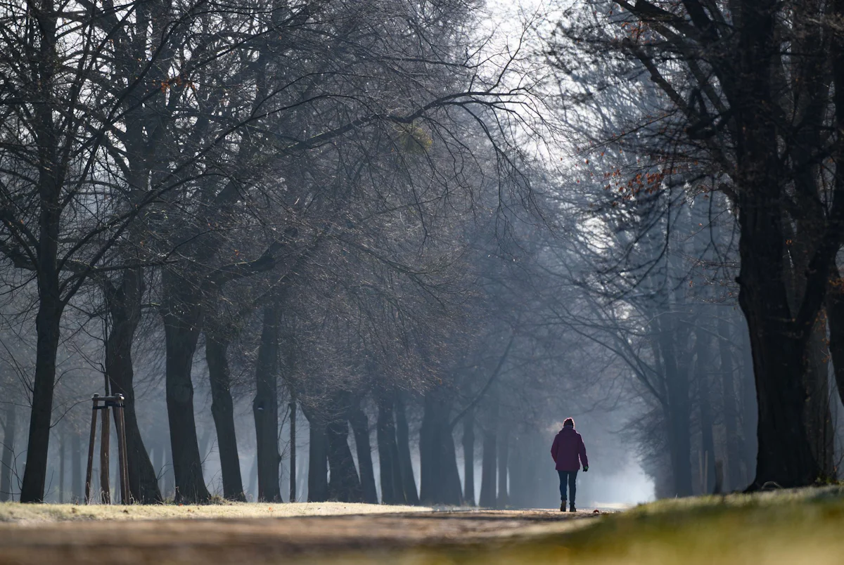 Dresden - Großer Garten mit neuem Skulpturendepot - Kultur