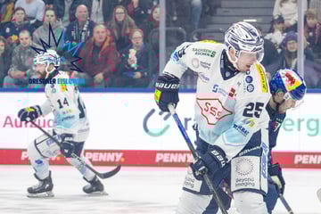 Red-Bull-Fans verhöhnen Eislöwen nach nächster Pleite: "Zweite Liga, Dresden ist dabei"
