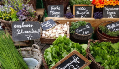 Wolfenbüttel: Wochenmarkt findet auf dem Schloßplatz statt