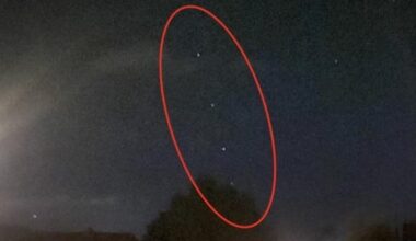 Niedersachsen: Starlink-Satelliten von Elon Musk sorgten für Drohnen-Alarm | Regional