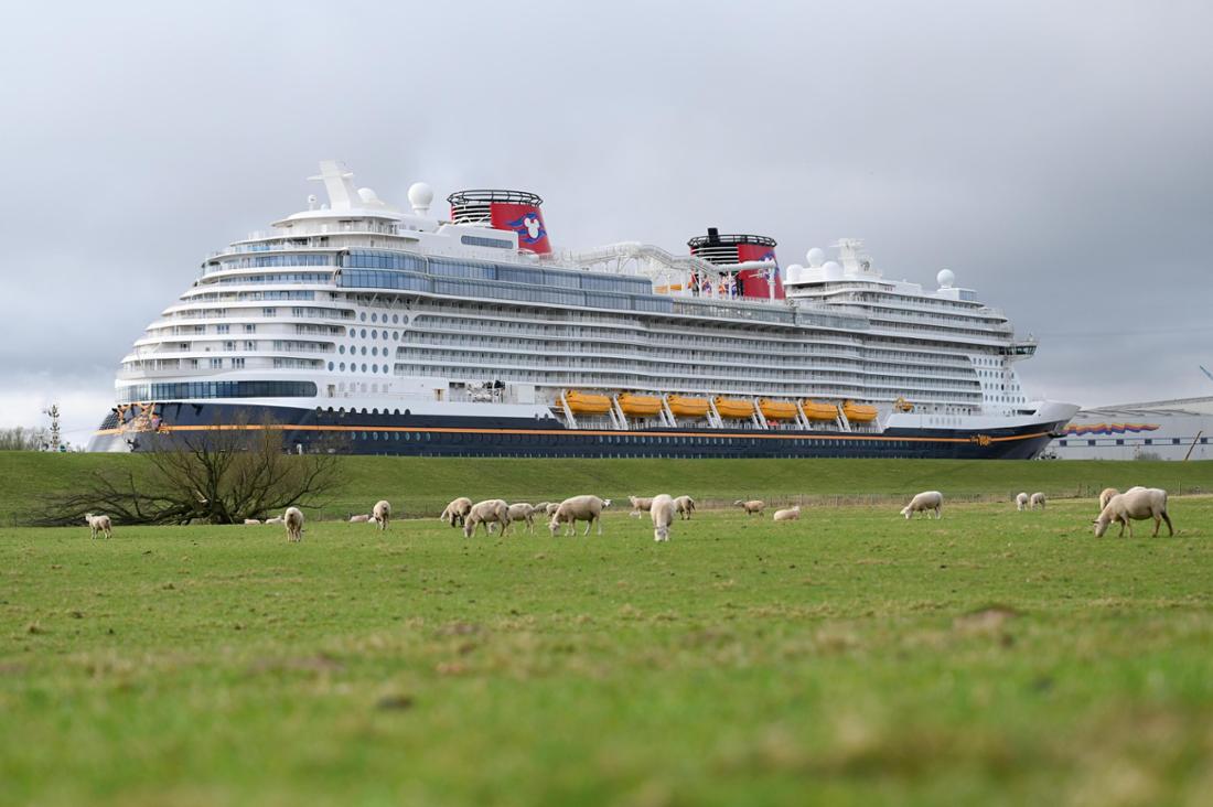Das Kreuzfahrtschiff „Disney Wish“ der Meyer-Werft in Papenburg fährt die Ems entlang in Richtung Nordsee. Für die Besucher der Region ein bleibendes Erlebnis, so nah dabei sein zu können. Die Schafe im Vordergrund des Bildes lassen sich am Deich nicht stören.