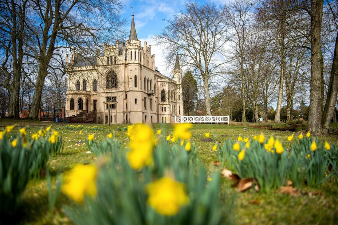 Die gelben Narzissen blühen vor dem Schloss Evenburg im englischen Stil angelegten Garten.