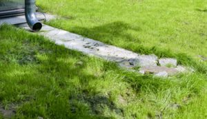 Schwammstadt in der Praxis: Fortbildung für Fachleute