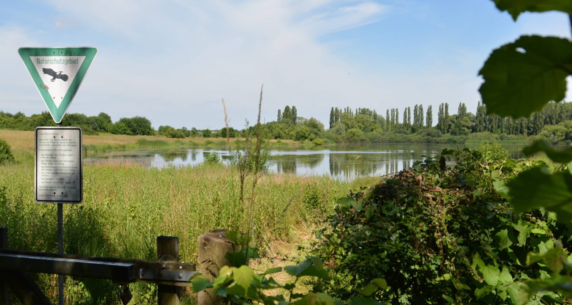 Welttag der Feuchtgebiete: Wie Dortmund seine Biotope schützt