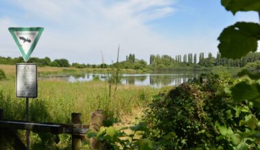 Welttag der Feuchtgebiete: Wie Dortmund seine Biotope schützt
