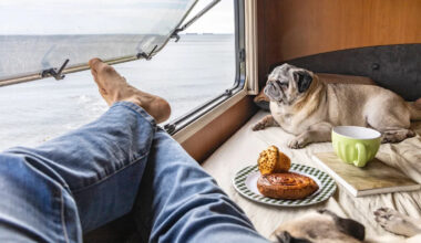 Yahoo news Startseite