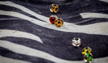 Bundesliga: Flummi-Proteste gegen Ansetzung beim Spiel Augsburg gegen Union | Sport