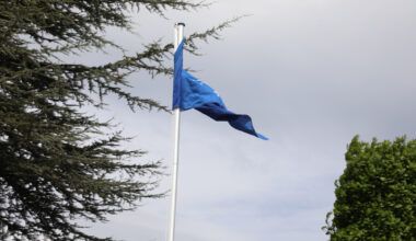 Warnung vor Windböen im Rems-Murr-Kreis und Stuttgart am Freitag (02.01.) - Nachrichten aus dem Rems-Murr-Kreis